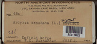 Image Associated With the Occurence